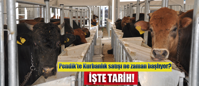 Kurbanlık satışı bakın ne zaman başlıyor?