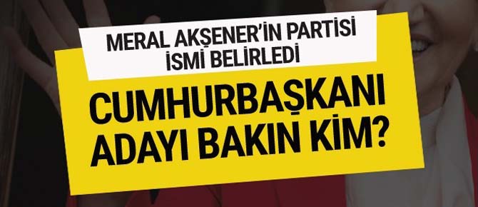 İşte Meral Akşener'in partisinin 2019 cumhurbaşkanı adayı