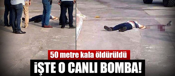 50 metre kala öldürüldü... İşte o canlı bomba!