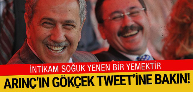 Arınç'tan bomba Gökçek tweeti: Eğer kalkmıyorsa!..