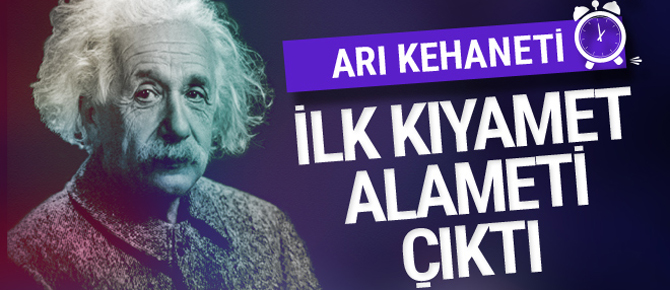 İlk kıyamet alameti! Einstein'in arılarla kehaneti gerçekleşiyor