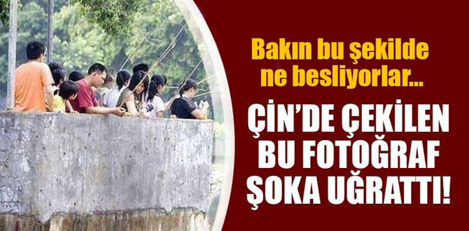 Sadece Çin'de görebileceğiniz kareler