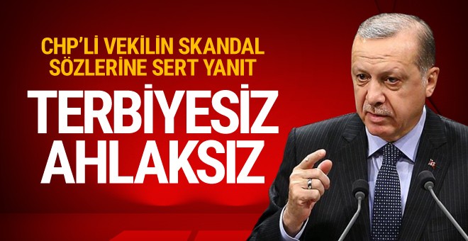 Erdoğan'dan CHP'li Aldan'ın skandal sözlerine yanıt: Terbiyesiz ahlaksız