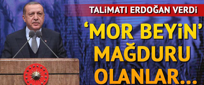 Erdoğan'dan mor beyin talimatı