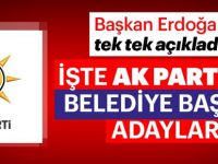 AK Parti'nin belediye başkan adayları açıklandı!