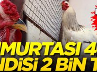 Kendisi 2 bin lira yumurtası 40 lira