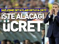 Ersun Yanal'ın Fenerbahçe'denr alacağı ücret!