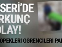 Kayseri'de korkunç olay! Sokak köpekleri öğrencileri parçaladı