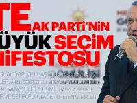 Başkan Erdoğan AK Parti manifestosunu açıkladı!