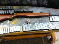 Pendik'te silah şebekesine operasyon 4'ü polis 75 gözaltı