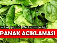 İstanbul İl Tarım Müdürlüğü'nden 'ıspanak' açıklaması