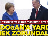 “Erdoğan’a elimiz mahkum” diye yazdılar! “