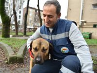 Tuzla'da sokak hayvanları unutulmuyor