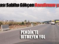 Pendik'te bitmeyen yol.. Kaderine terk edildi