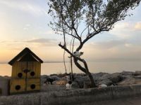 Denize Sıfır Tripleks Villalar, Tek Şart Tuzla’da Yaşamak