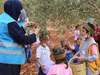 Yetim çocuklar barış ve kardeşlik için zeytin topladı