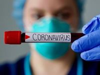 Coronavirüs aşısı müjdesi! Yakında başlıyor.. İşte tarih