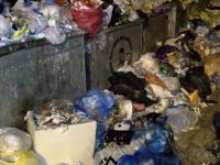 İstanbul'da skandal görüntüler.. Her yer çöp dağı