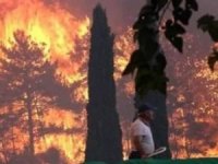 İhracatçılardan imeceyle yanan ormanlarımızı tekrar yeşertelim çağrısı