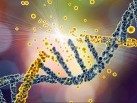 Gereksiz Vitamin ve Gıda Takviyesi Kullanımı DNA Hasarına Yol Açabilir!