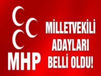 İşte MHP'nin İstanbul 1 Bölge adayları