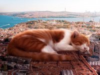 Fantastik Bir Dünya: Hayallerde İstanbul