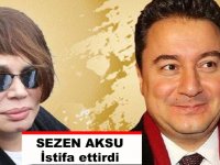 Ali Babacan'ın partisinden Sezen Aksu istifası