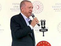 Erdoğan fındık alım fiyatını açıkladı!