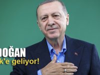 Erdoğan Pendik'e geliyor!