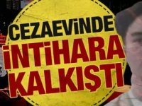 Timur Cihantimur ABD cezaevinde cezaevinde intihar etti: Avukatından açıklama!