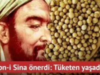 İbn-i Sina tavsiyesi: Zeka açan müthiş baharat!