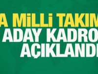 A Milli Futbol Takımı'nın aday kadrosu açıklandı!