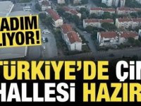 Bu ilimize Çin mahallesi kuruluyor!