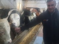 Güngör ET'te Kurban satışları başladı
