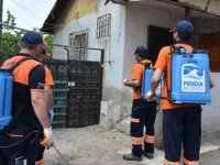 Pendik’te Seferberlik: Hepsini öldürecekler!