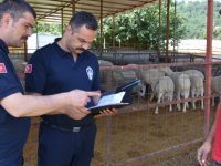 Kurban Satış ve Kesim Alanlarını Denetliyorlar