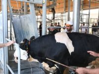 “Kurban Etini Paylaş, Kardeşinle Kucaklaş!”