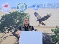 Leylekler ve Şah Kartal için koruma seferberliği başladı