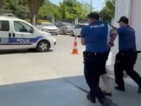 Pendik'te sokak köpeğine cinsel tacizde bulunan şahıs tutuklandı!