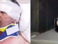 Saldırıya uğrayan çiftçi; "Aslan'a hakkımı helal ediyorum."