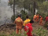 Pendik Belediyesinden Bursa'daki Yangın Söndürme Çalışmalarına Tam Destek