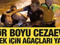 Orman yakan FETÖ'cü; Ömür boyu cezaevine girmek için yaptım!