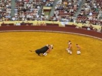 Matador boynuz darbesiyle hayatını kaybetti, seyirci kalp krizi geçirdi