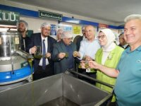 AYVALIK’TA YILIN İLK ZEYTİN HASADI YAPILDI