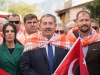 Milas'ta zeytin hasatı başladı