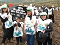 Pendik'e 36 bin fidan