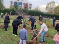 Pendik'e 350 Fıstık Çam'ı