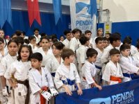 Pendik'te Mücadele Sporları Festivali