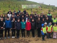 Pendik'te  350 Fıstık Çamı Toprakla Buluştu