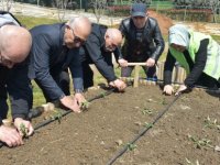 Pendik'e Ata Tohumu Fideleri Diktiler